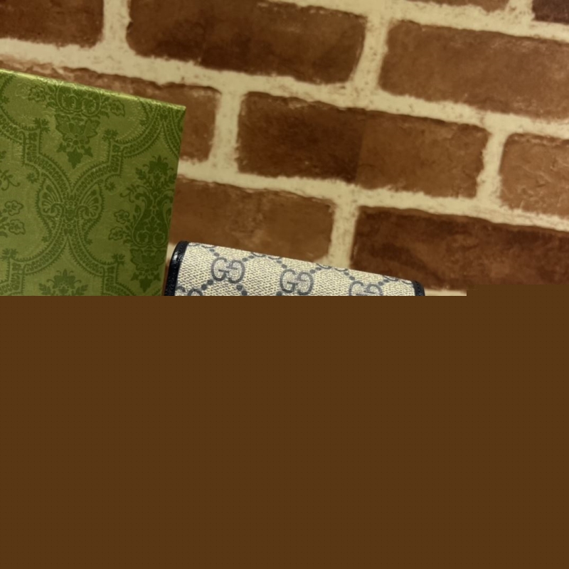 G*u*i wallets & purse